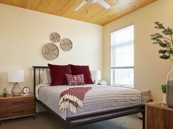 Apartments- spacious rooms